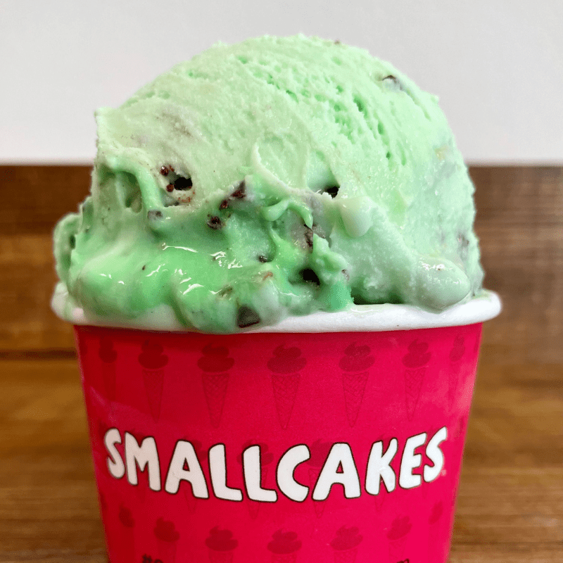 Featured image for “Mint Chocolate Chip”
